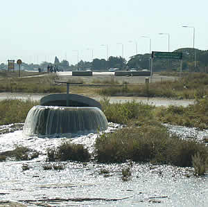 A burst sewer pipe along Simon Mazorodze Road at the intersection with Harare Drive. We will carry it to Minister Chombo to see that the system is rotten. 