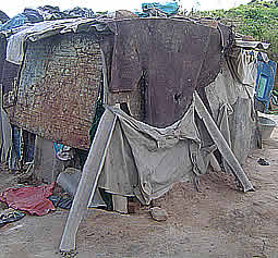 This shabbily constructed metal and asbestos structure is what Fungai calls home