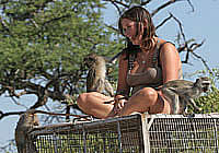 Tshoko, Bobo & Bobo 2 